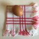 Series of 10 napkins frat striped dishcloths 50