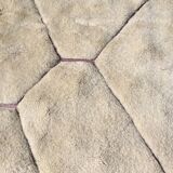 Tapis Mrirt d'exception 350 x 263 cm