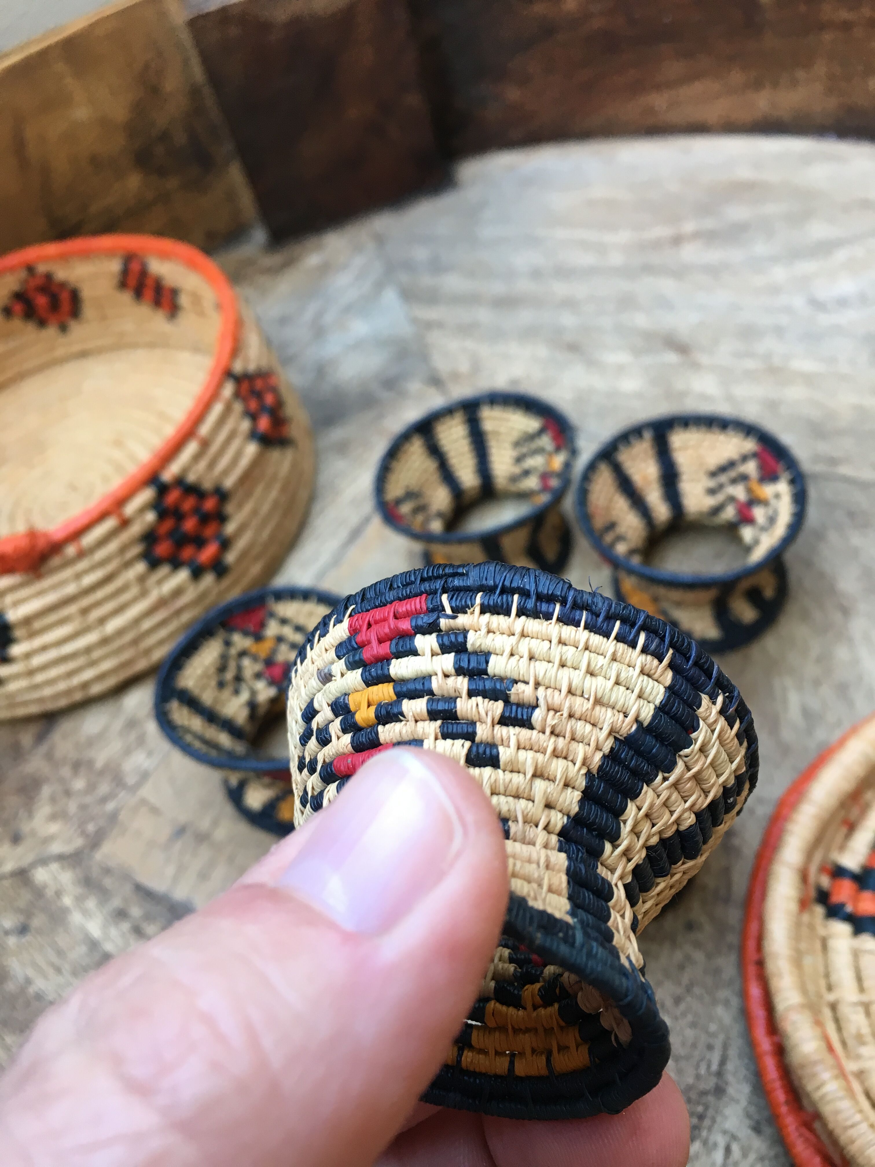 African lidbox and raffia cockroaches