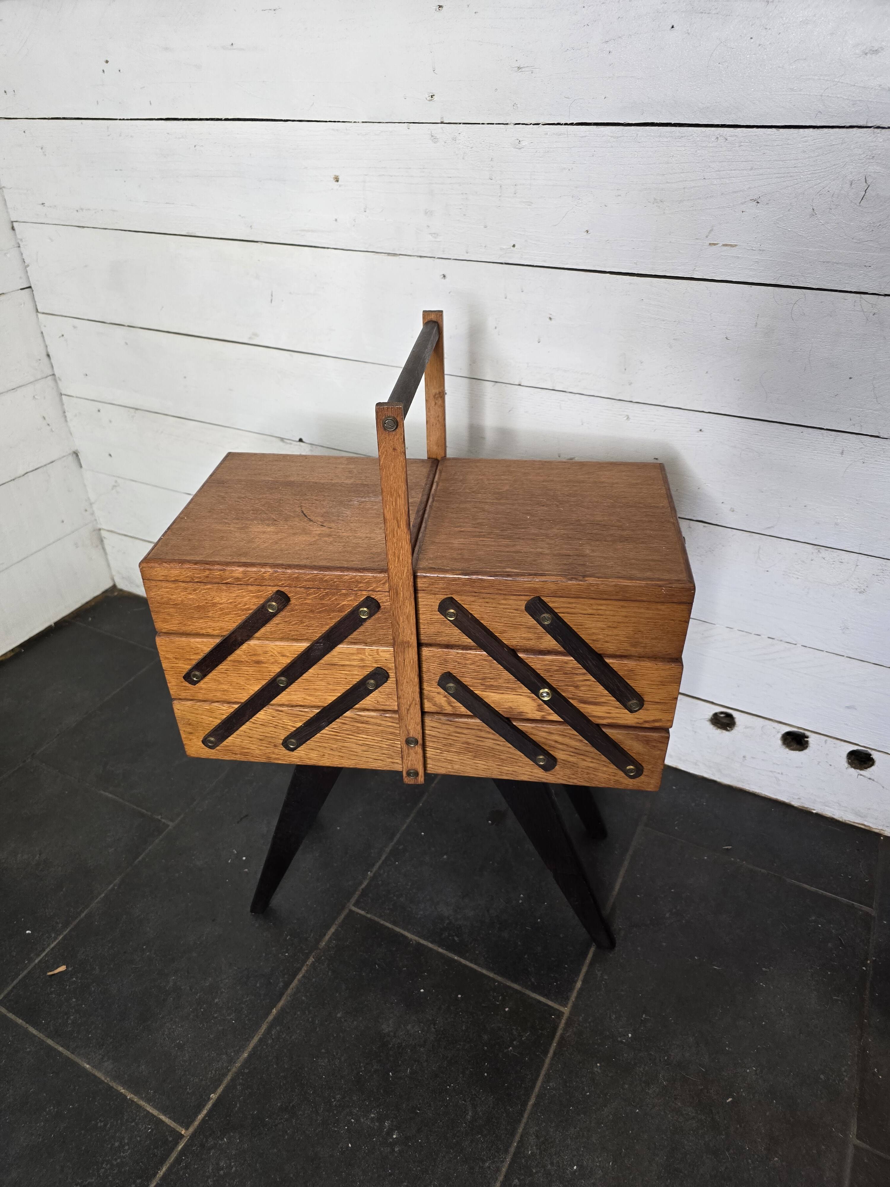 Oak worker with compass feet