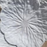 Set of 6 slip plates