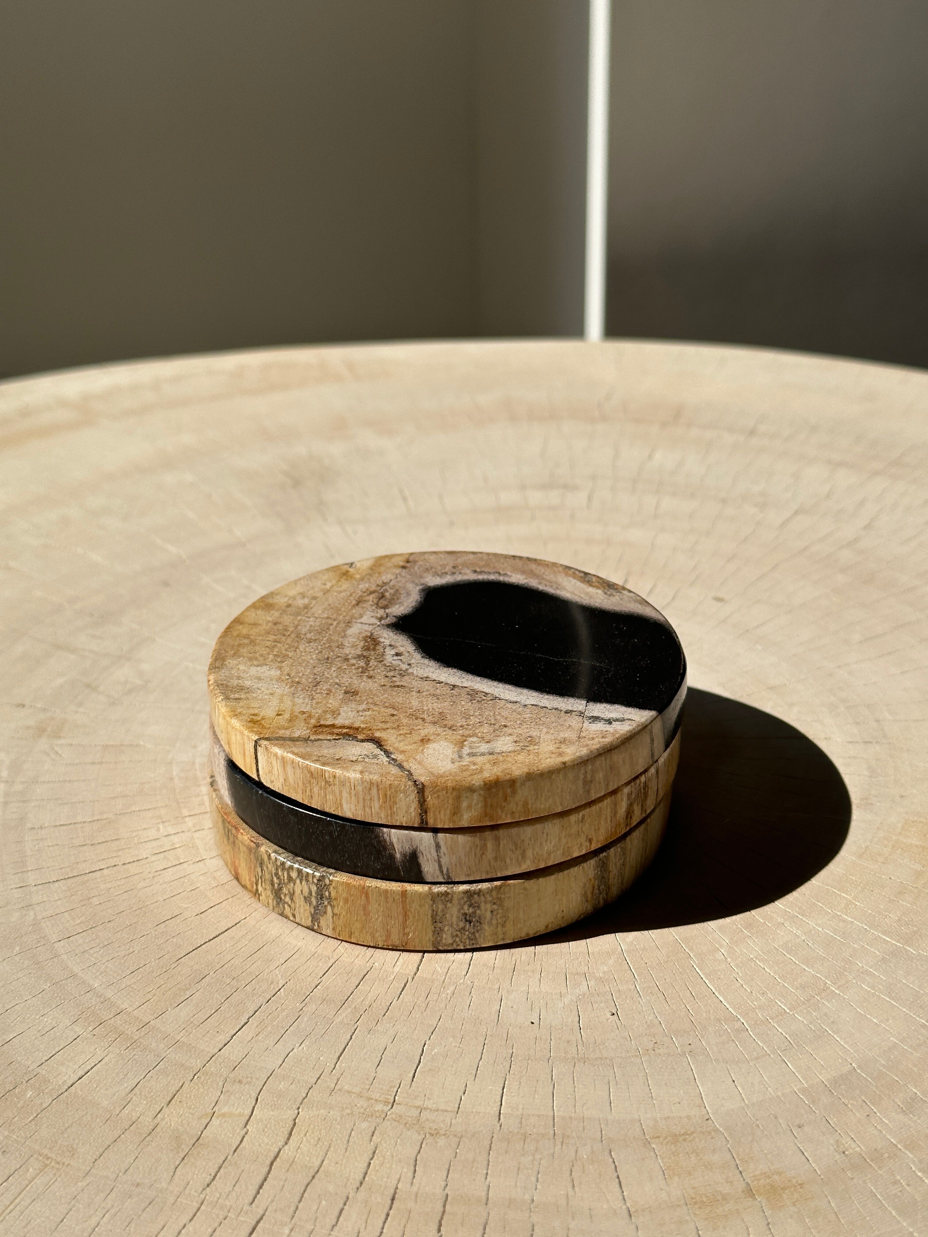 Set of 3 fossilized wooden coasters (clear)