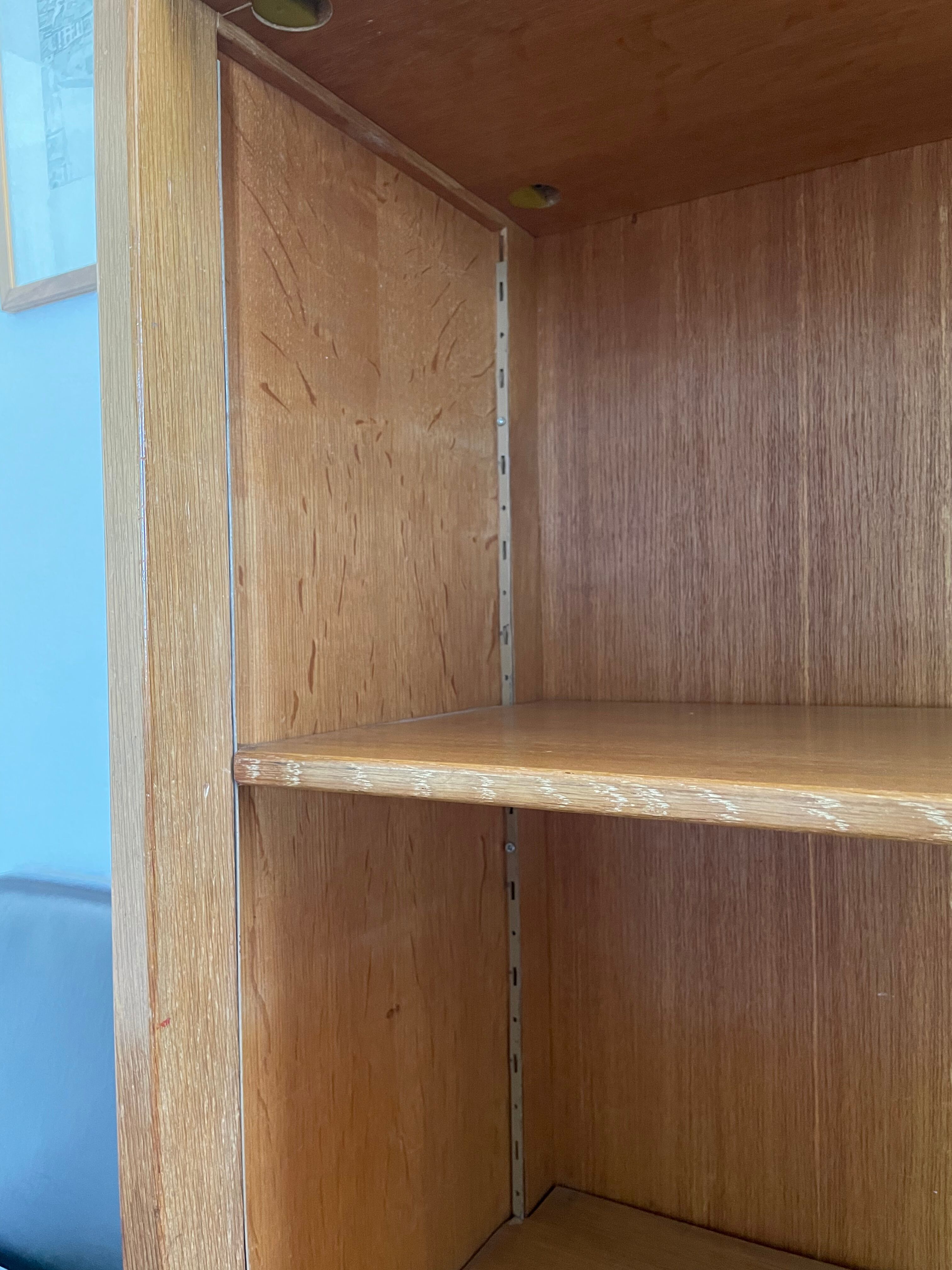 Scandinavian vintage library storage cabinet