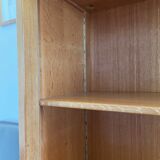 Scandinavian vintage library storage cabinet