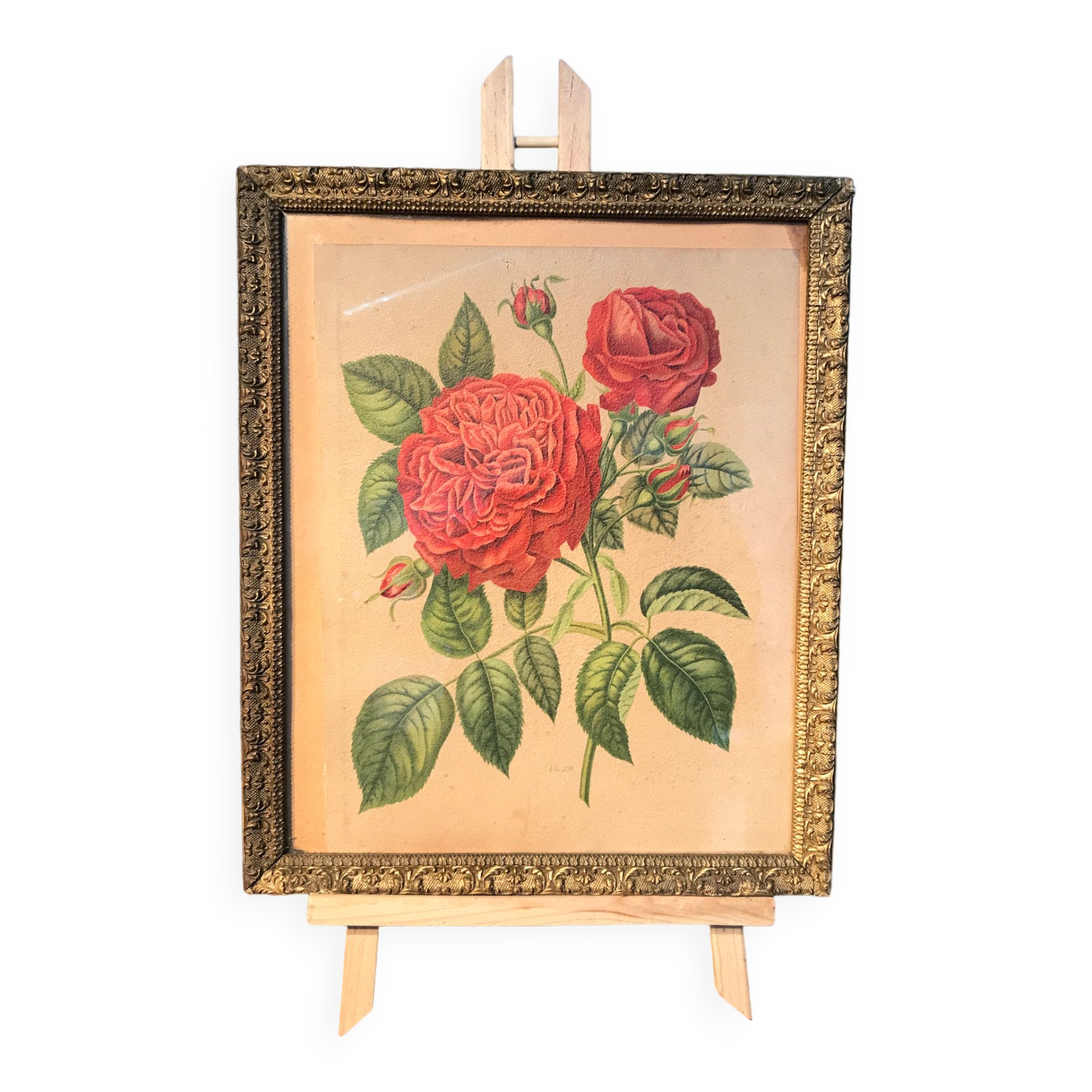 Floral lithography