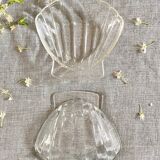 Shell cups