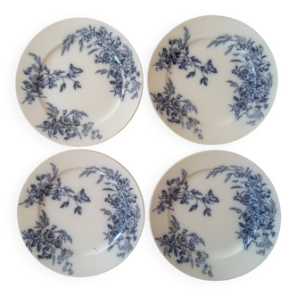 Old plates
