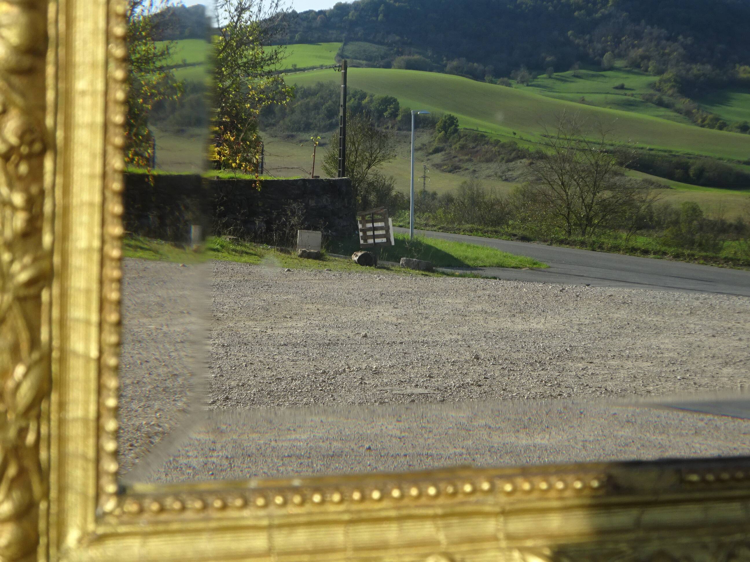 Antique mercury mirror in the Napoleon III style.