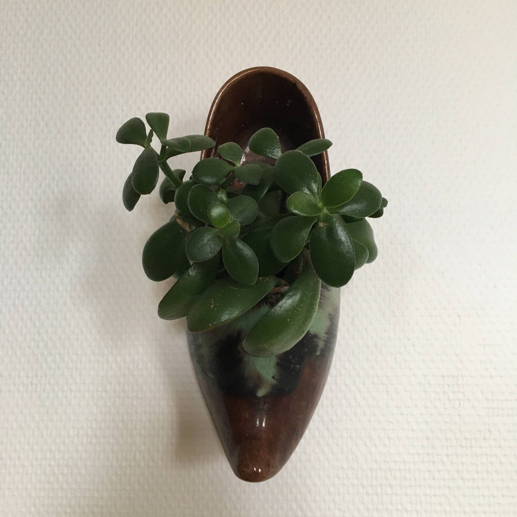Ceramic wall planter