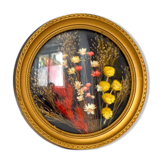 Small domed plant frame
