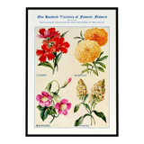 Poster about God's carnations, worries, and maurandies