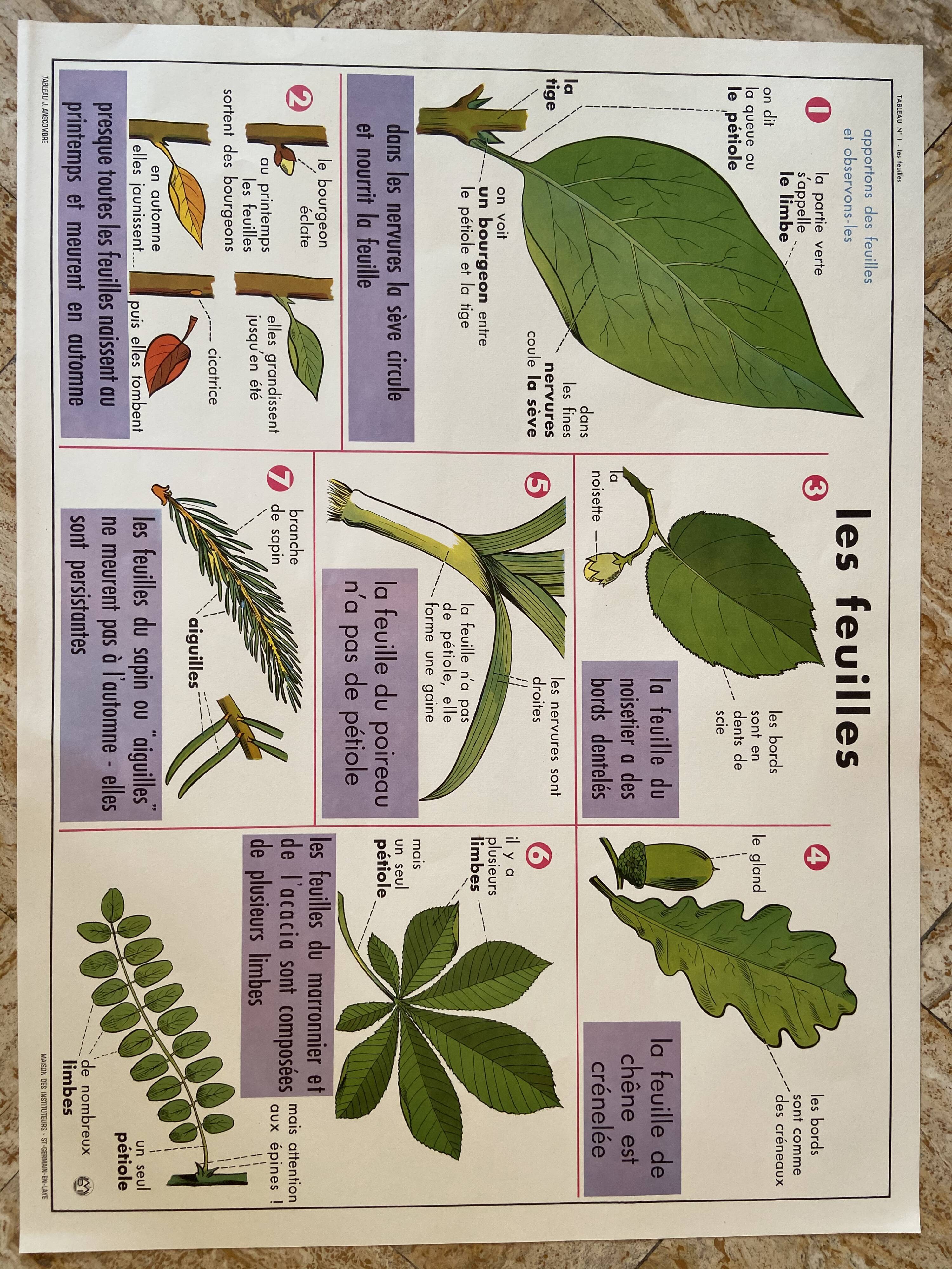 Old vintage school poster