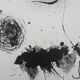 Joan Miro: Bouquet of Dreams for Leila - Original Lithograph