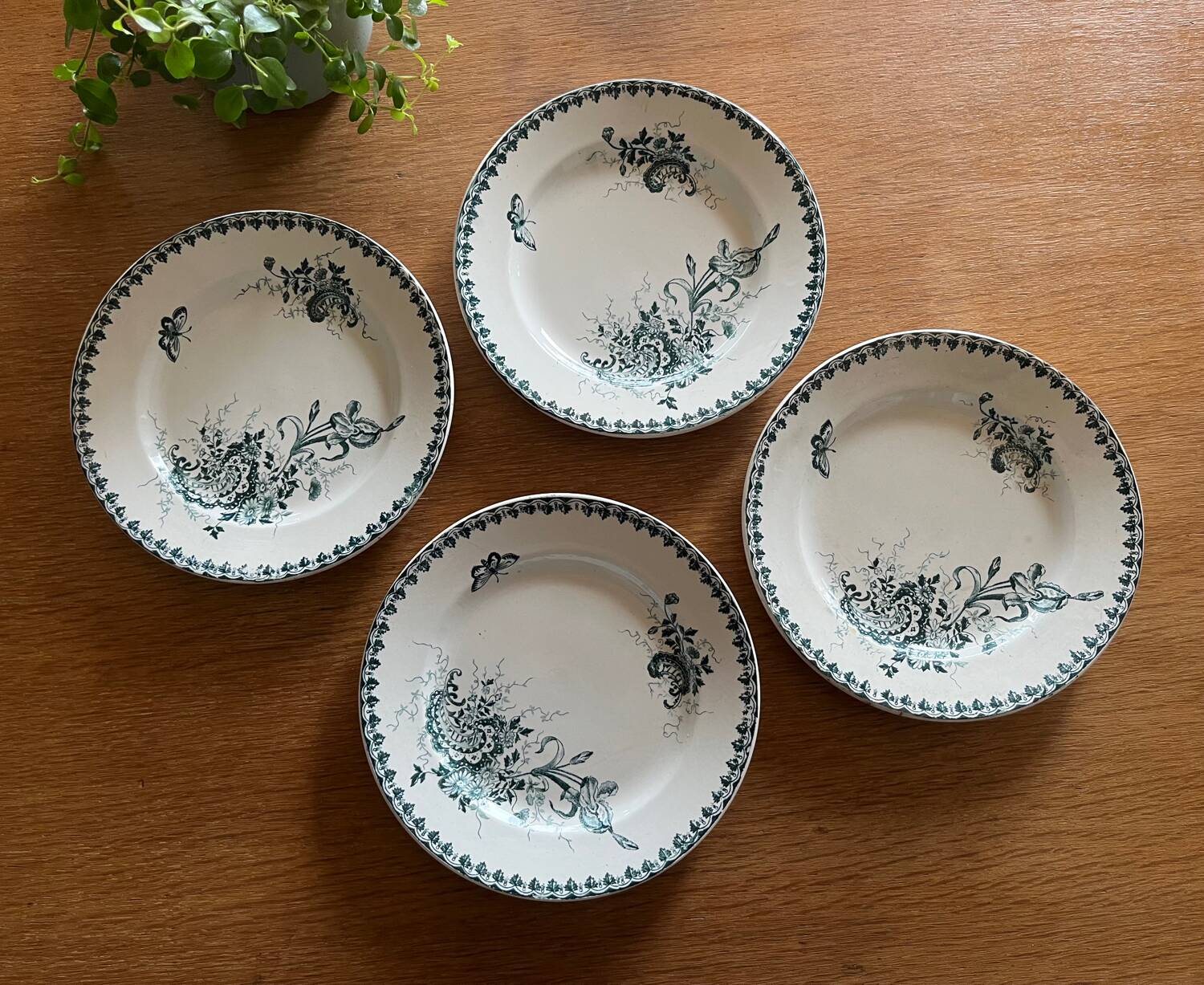Earthenware plates - Sté Amandinoise Louis XV