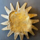 Paper mâché sun from the 1950s