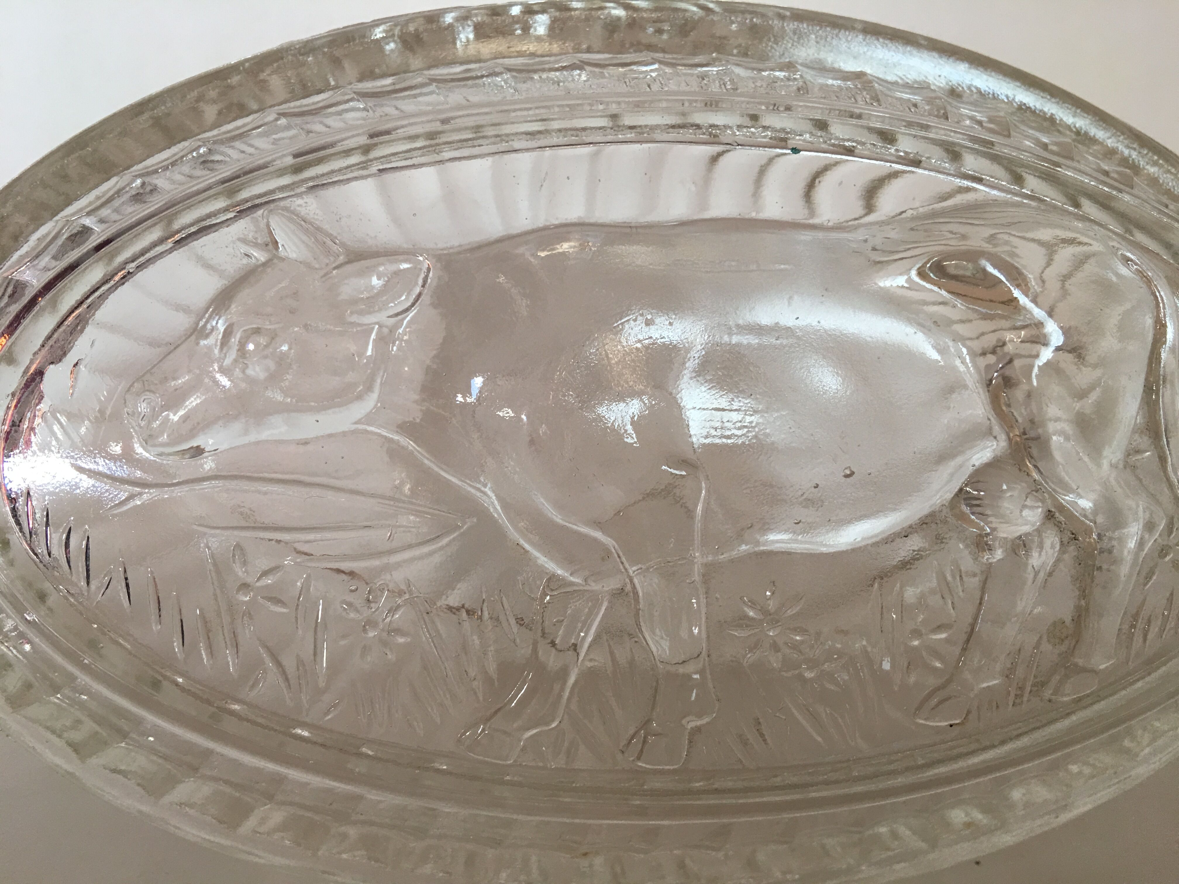 Butter glass cow motif 1950/60