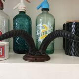 Trophy antelope horns