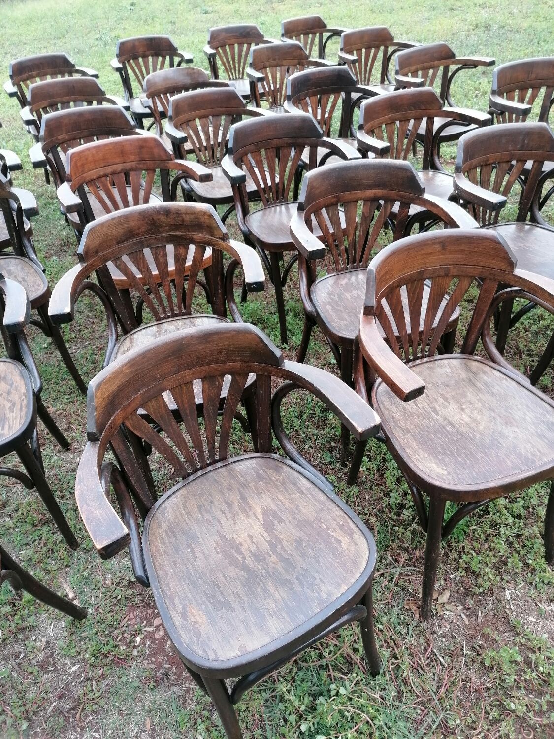 Set of 30 vintage bistro armchairs