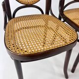 Set of 4 Radomsko Bentwood and Cane Dining Chairs, 1950s