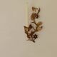 Pair of Mid-Century Italian Gilded Metal Sconces