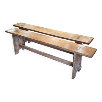 Pair of chestnut benches