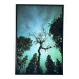 Limited Edition – Forest under the Northern Lights (4/15)