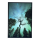 Limited Edition – Forest under the Northern Lights (4/15)