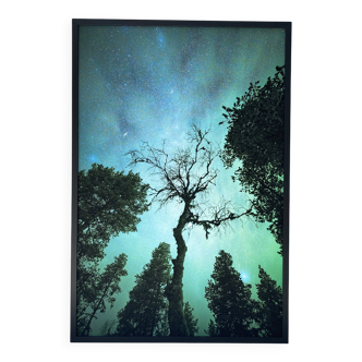 Limited Edition – Forest under the Northern Lights (4/15)