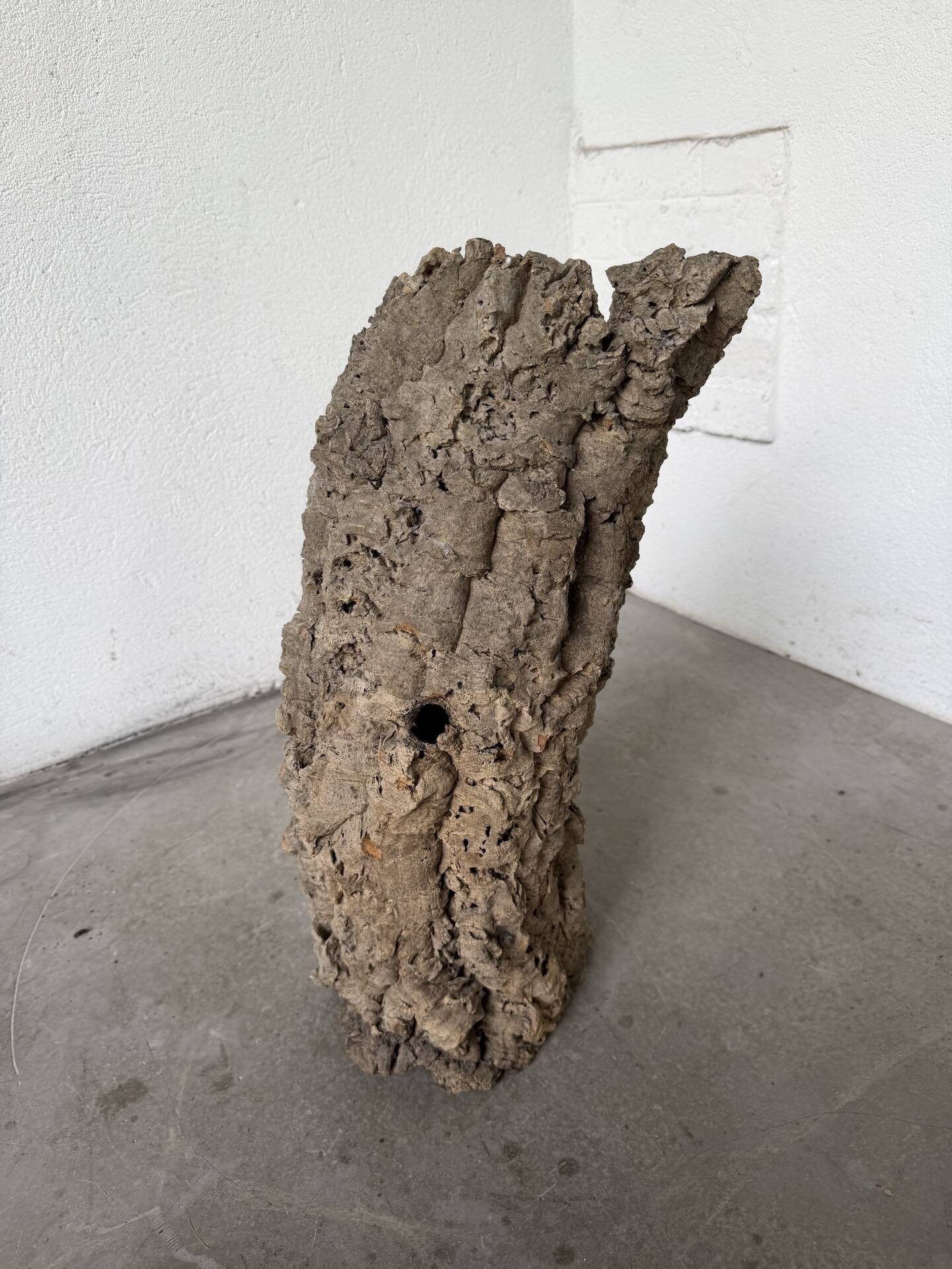 XL cork bark vase