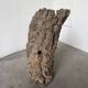 XL cork bark vase