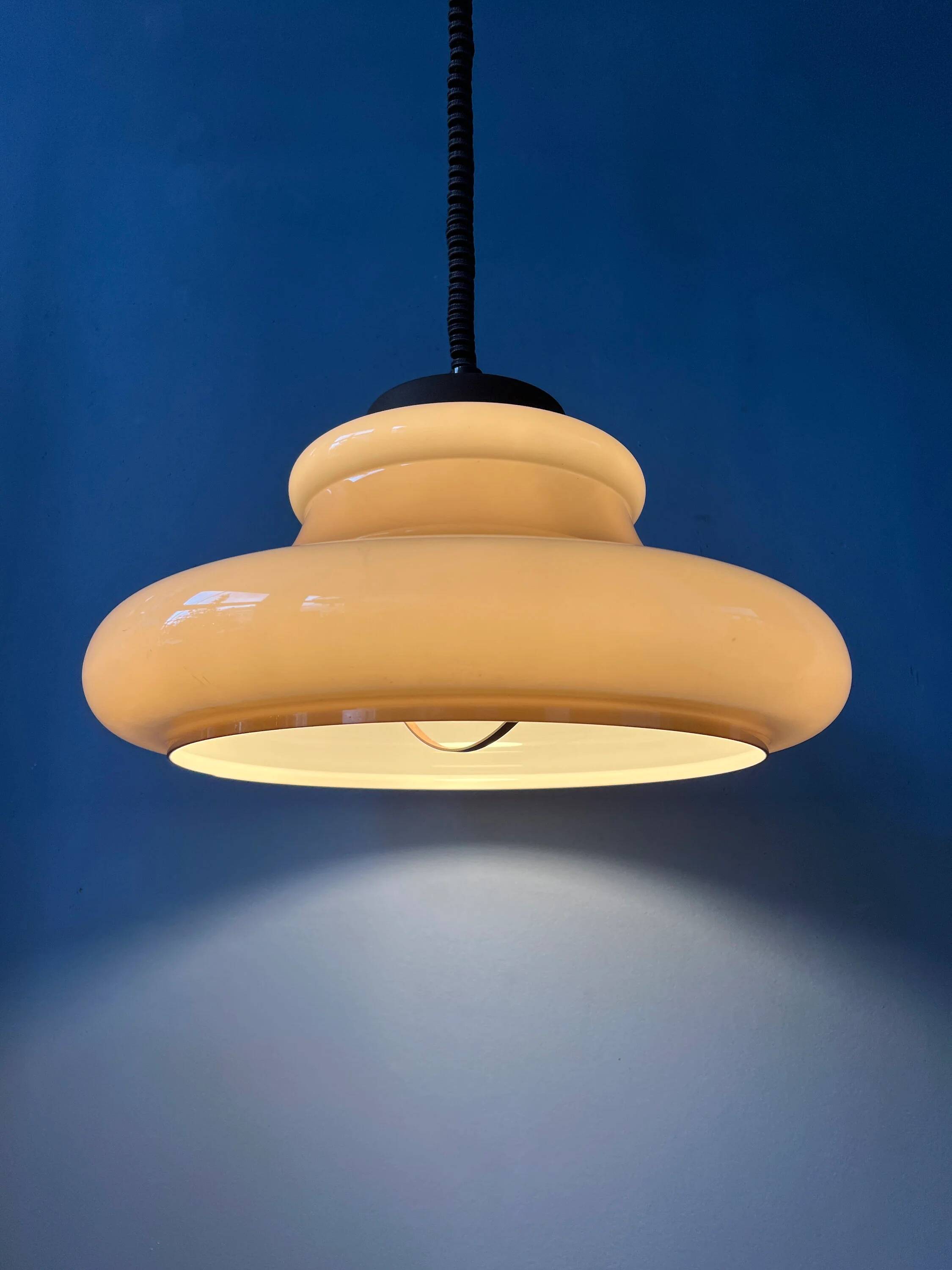 Mid Century Herda mushroom suspension