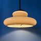 Mid Century Herda mushroom suspension