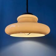 Mid Century Herda mushroom suspension