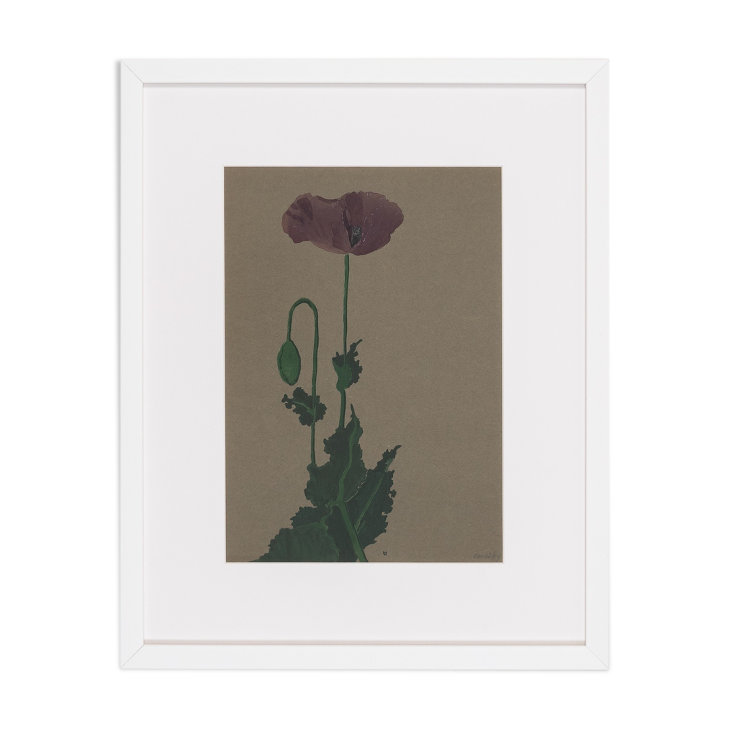 Poppy, Aquarelle on Paper, 42 x 52 cm