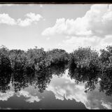 Paysage Everglades, Floride USA, Photographie Fine art