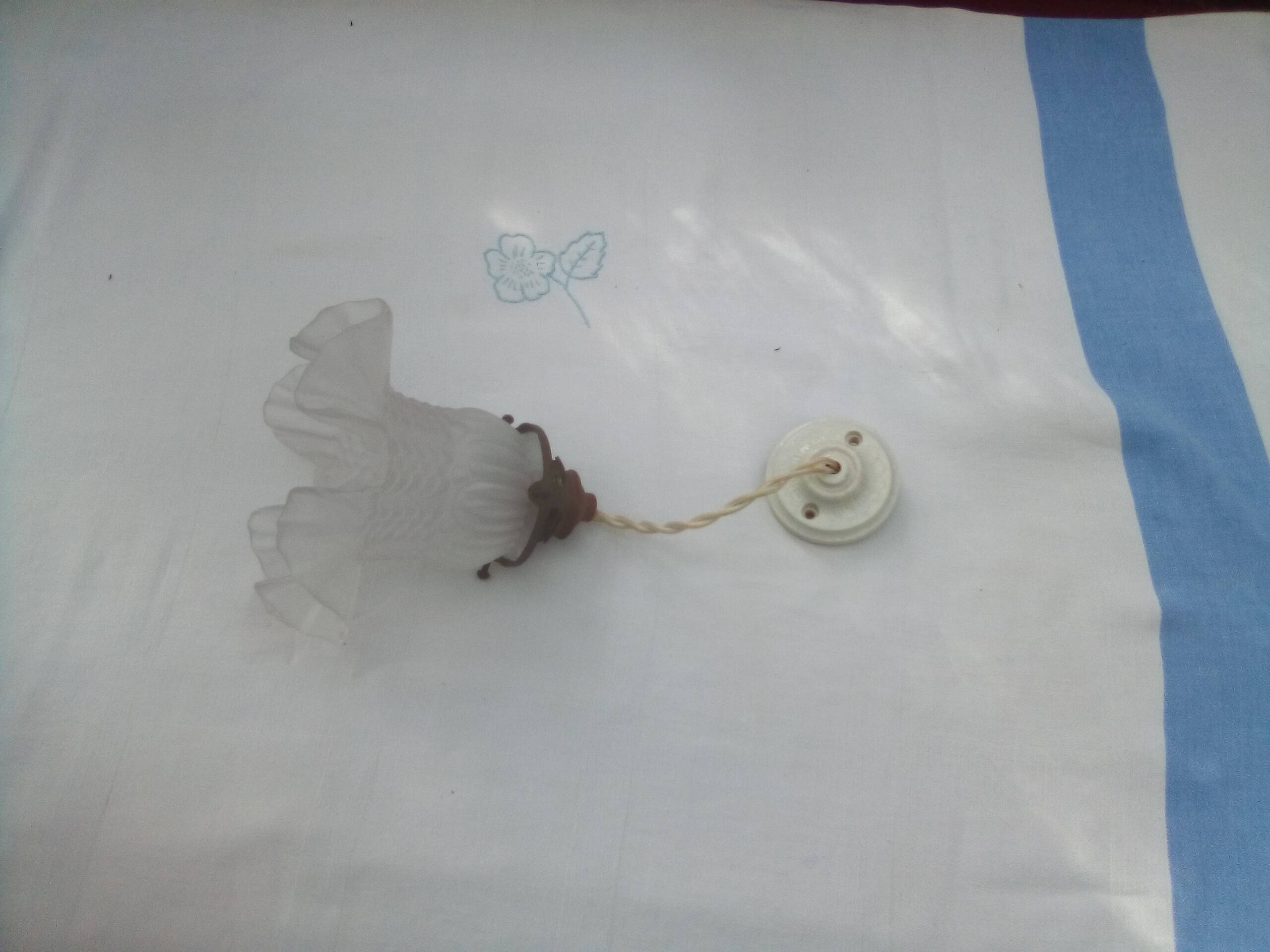Glass tulip pendant light