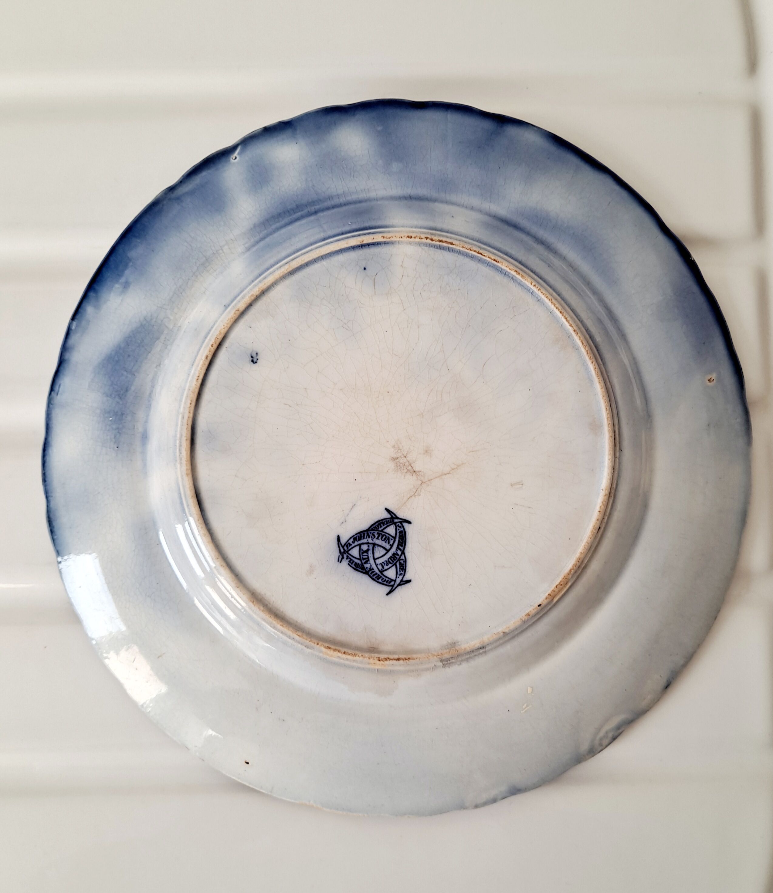 Plate Volubilis J.Vieillard and Johnston