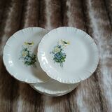 6 antique dessert plates from Digoin and Sarreguemines