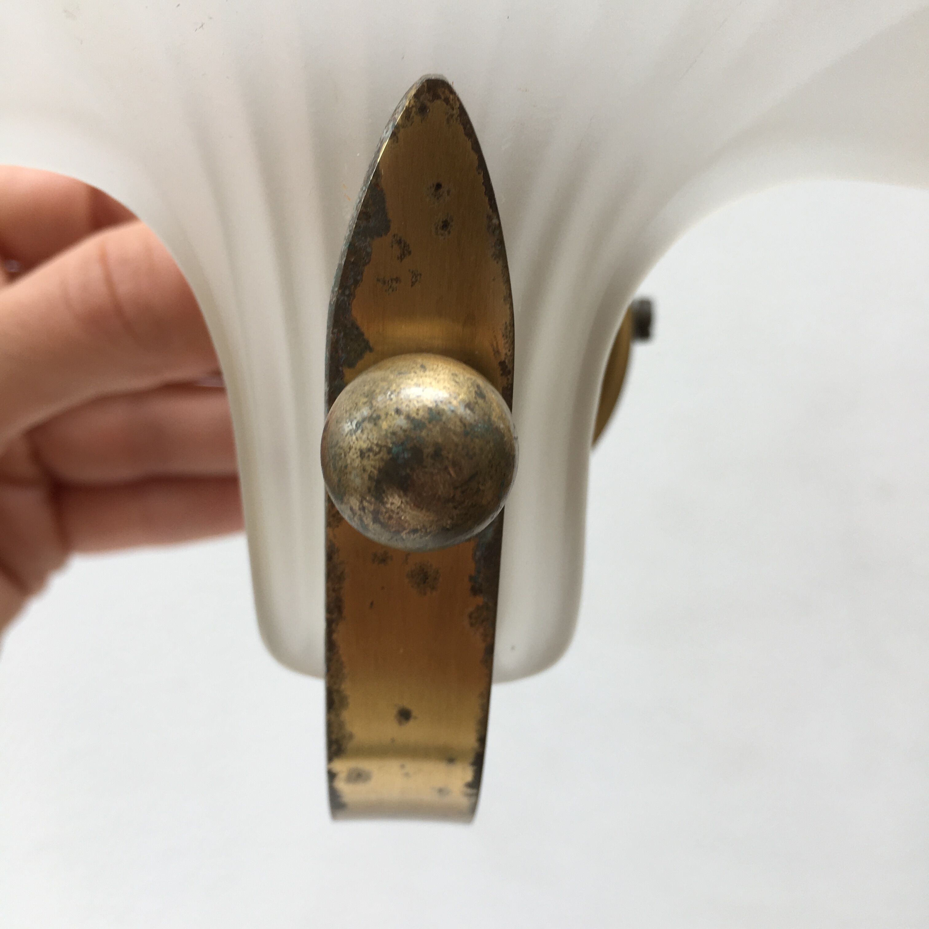 Shell wall lamp 70s Deknudt