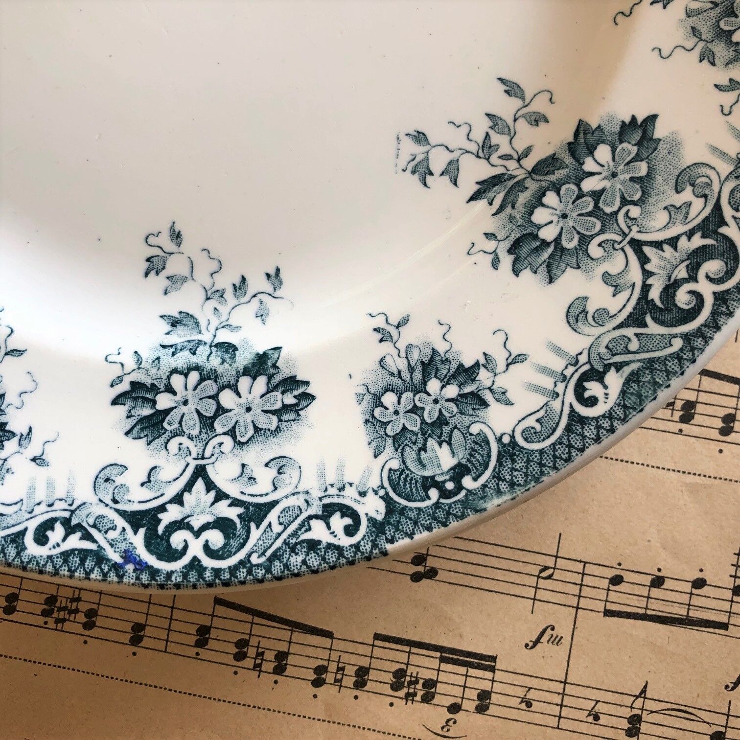 Old plate - white and blue floral decoration