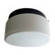 Ceiling light