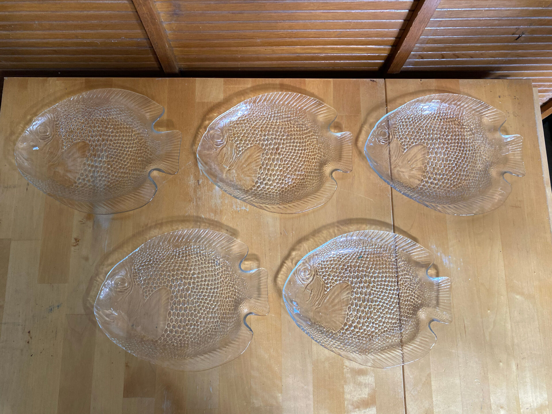 Plate + 5 ARCOROC Fish Shape Glass Mould Plates + Vintage Box #