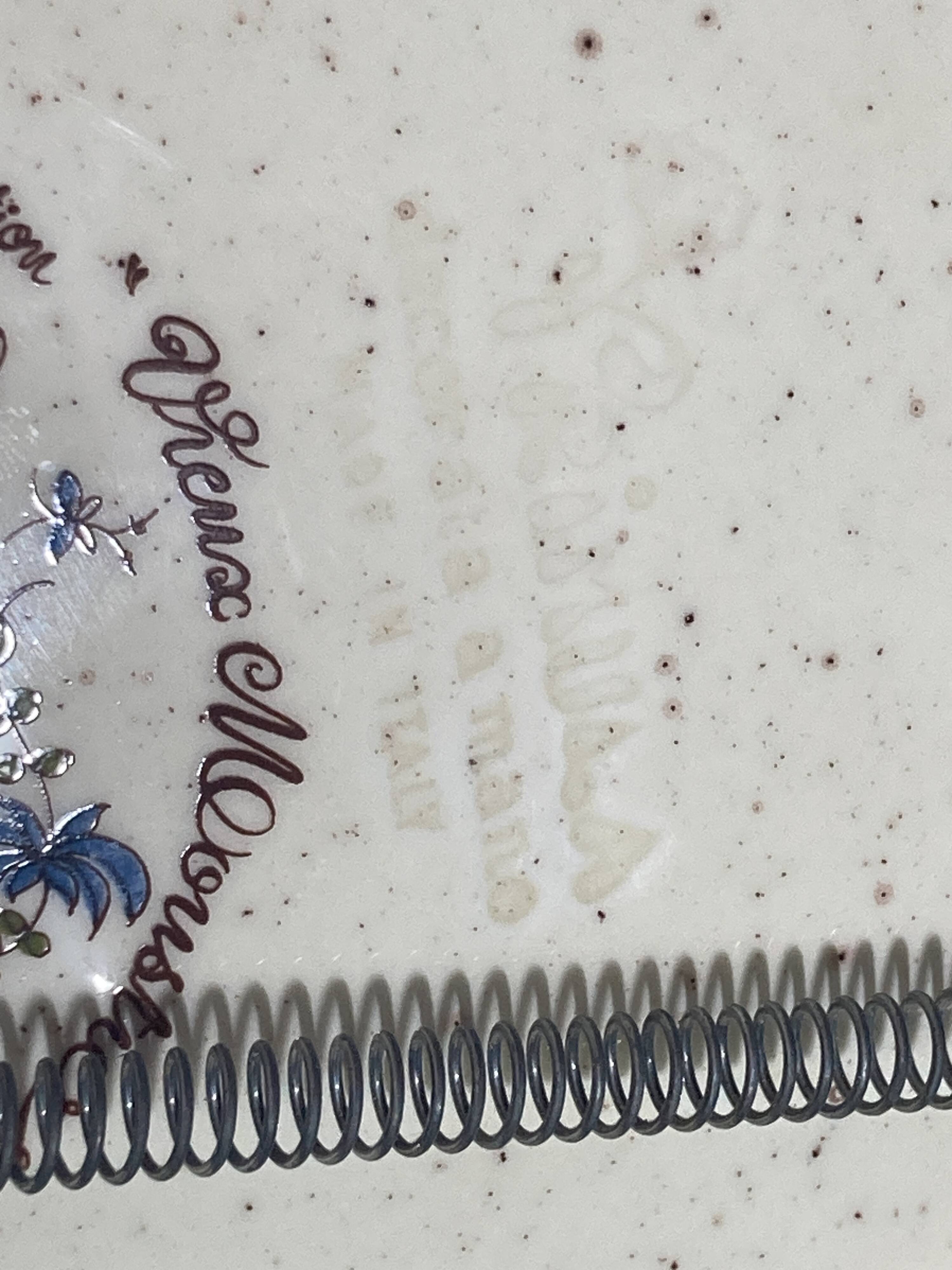 Set of 2 decorative wall plates