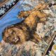 Antique wall tapestry in velvet depicting a scene with a lion and lioness.