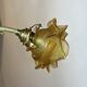 Lustre coquillage