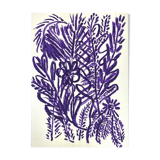 Illustration "flowering vegetation"-A4