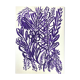 Illustration "flowering vegetation"-A4