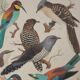 Louis Delapchier: Bee-eater, Roller and Kingfisher, original signed watercolor