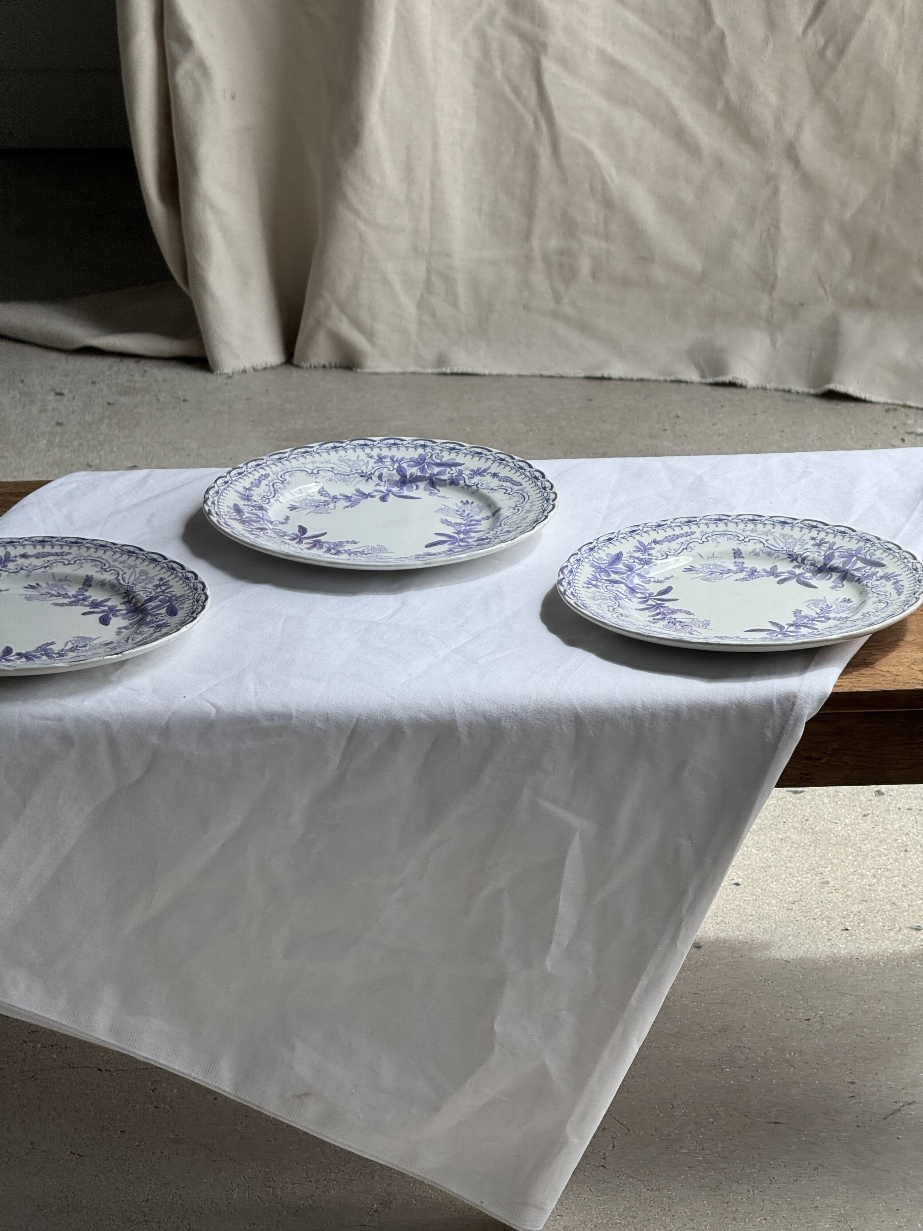 Set of 5 flat plates in earthenware with a lavender floral design H2 D22