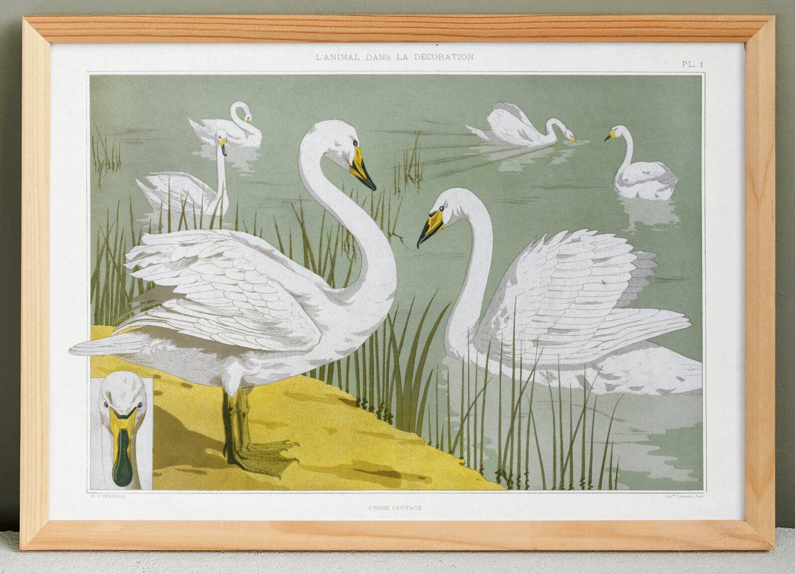 Poster “Wild Swan”, after an Art Nouveau lithograph from 1897